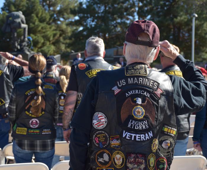 Veterans salute
