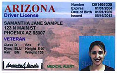 Driver License sample