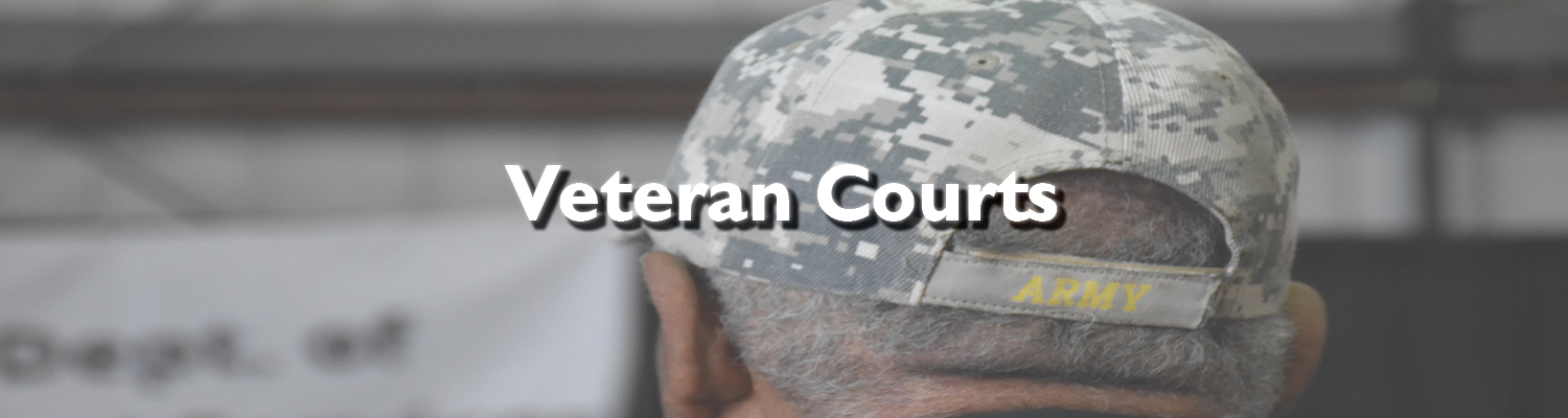 Veteran Courts